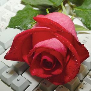 Meet your Posher, Nada